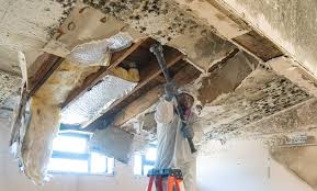 Mold Remediation for Vacation Homes in Warren, MI